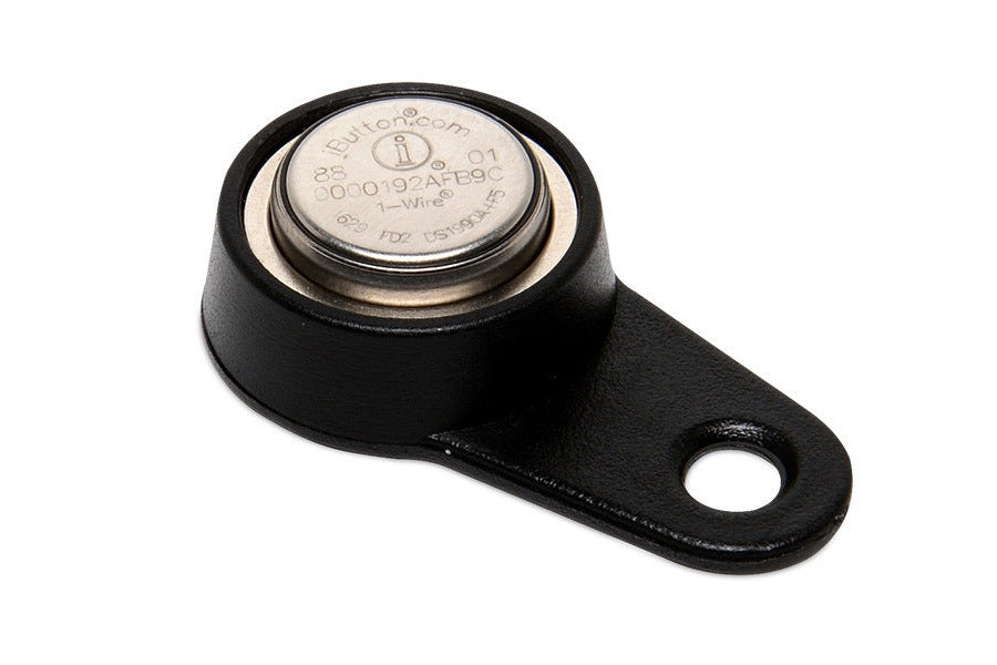 iButton Key
