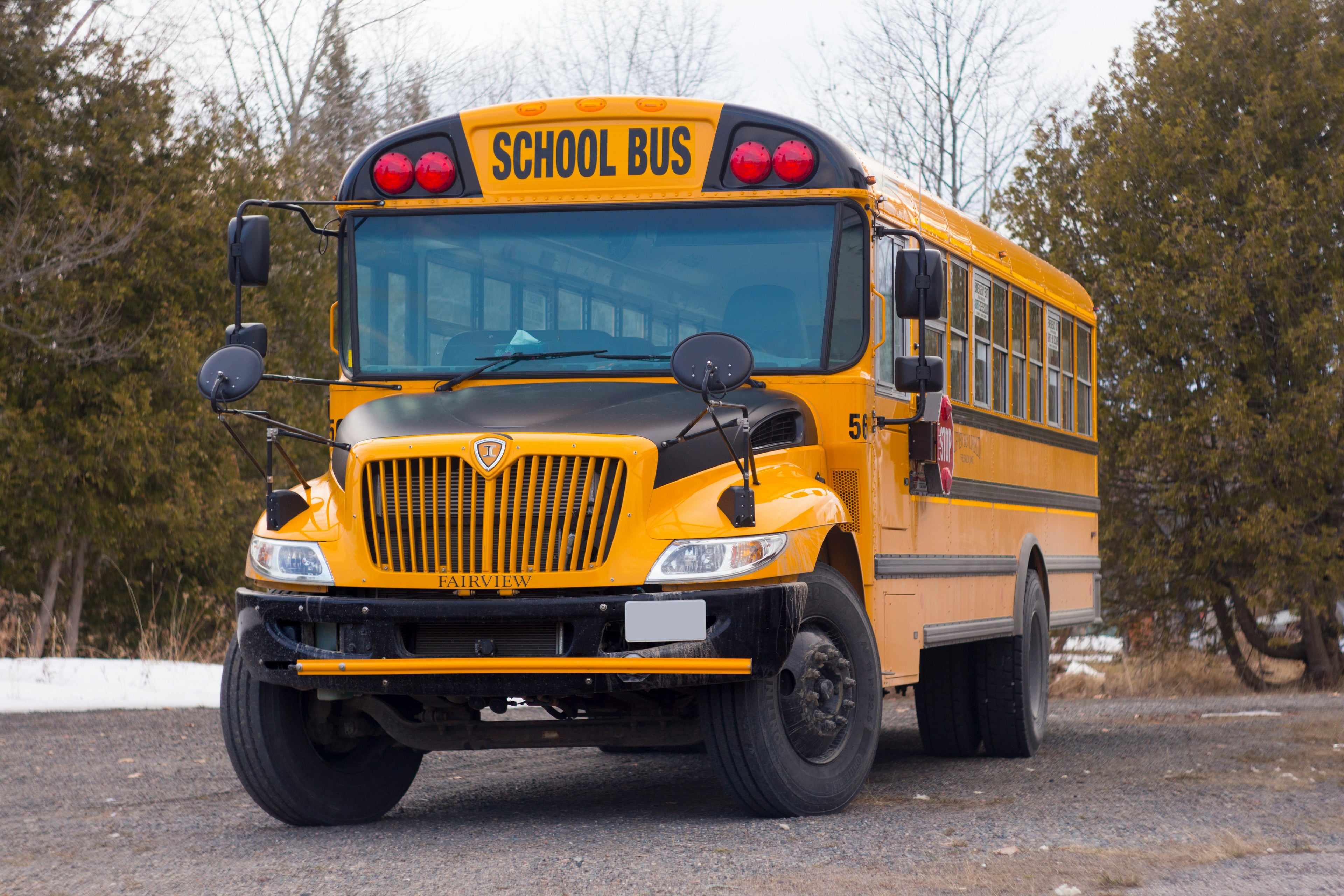 Yellow school bus with 'School Bus' sign on a road with trees in the background